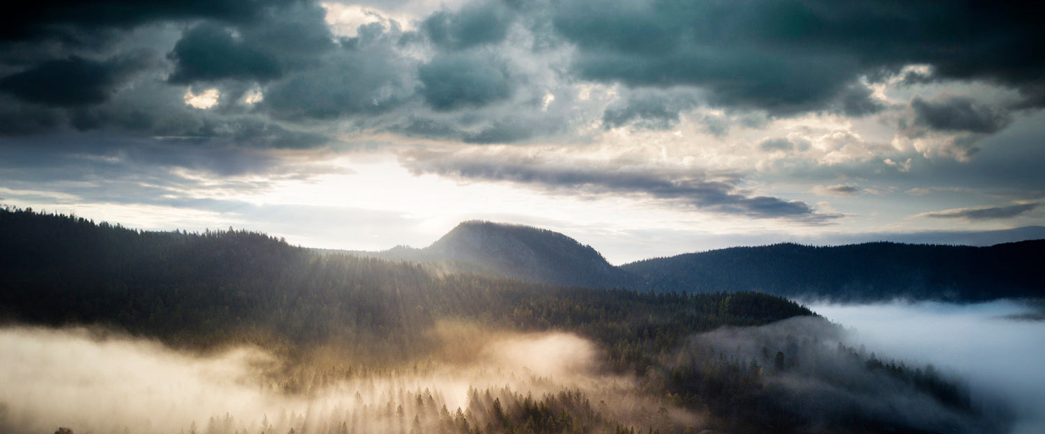 Haltis huvudkontor halverade sina energiutsläpp