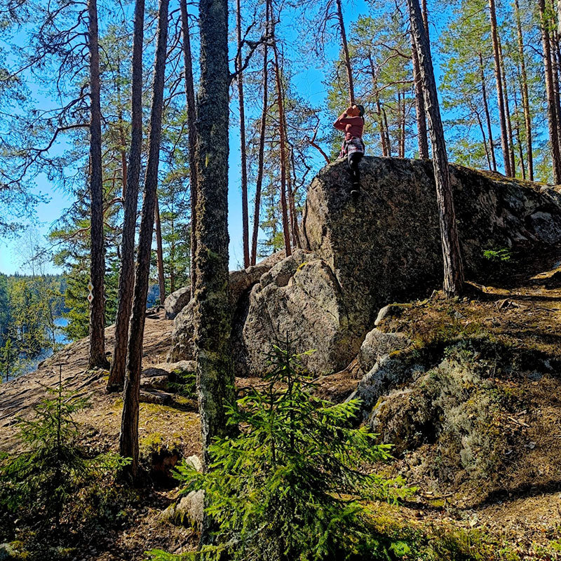 Liesjärvi nationalpark i Finland
