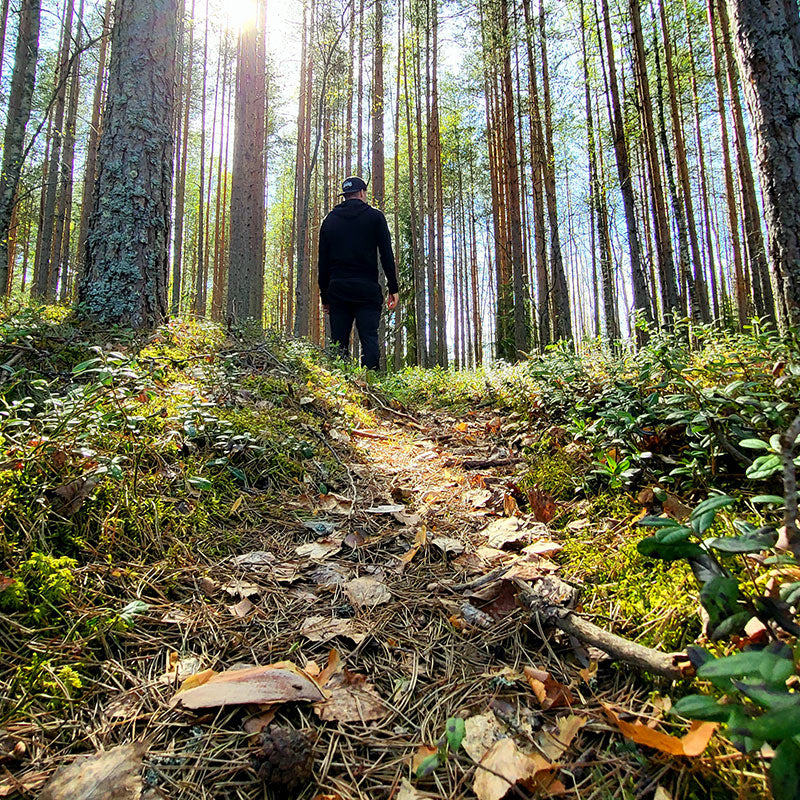 Päjänne nationalpark i Finland