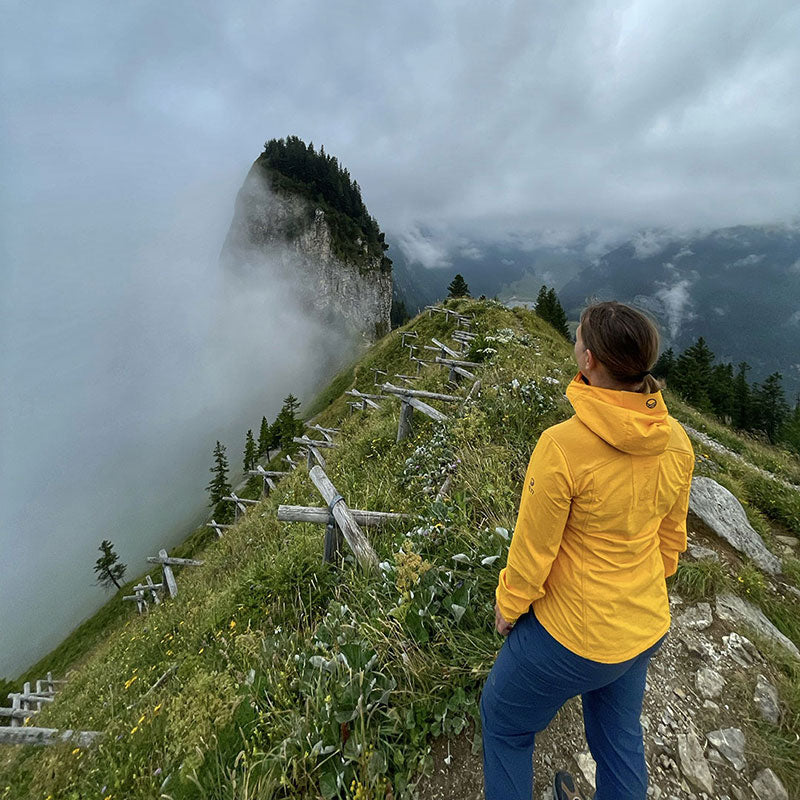 Skåbilsresa Schweiz Saxer Lucken