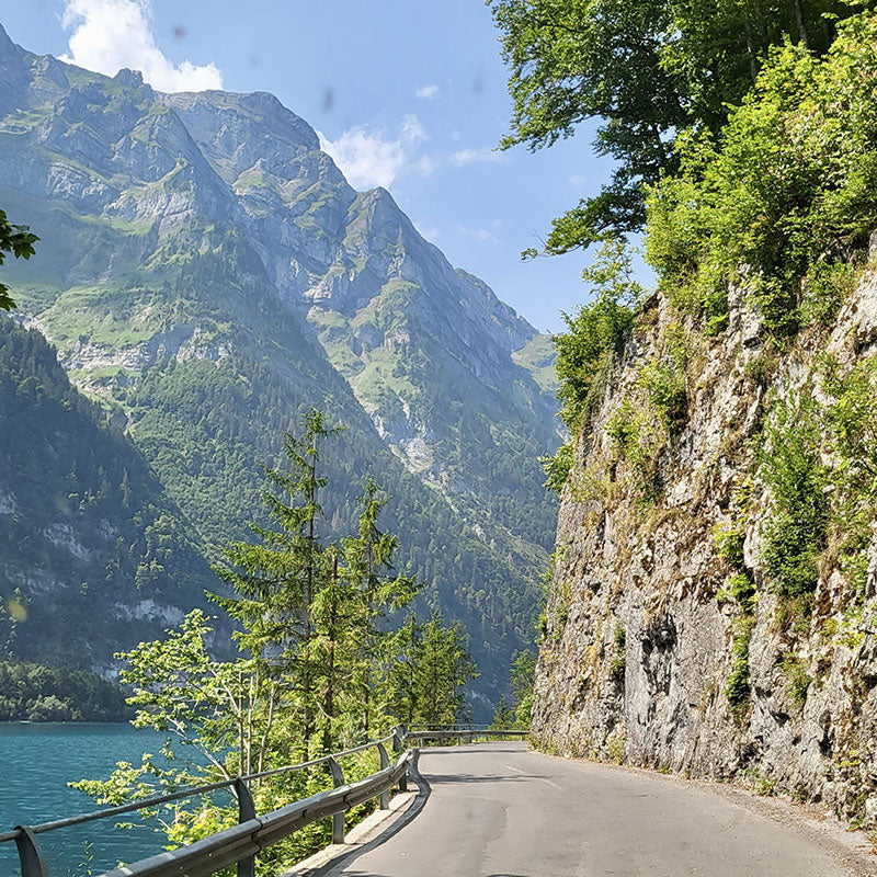 Skåbilsresa Centraleuropa bergsväg