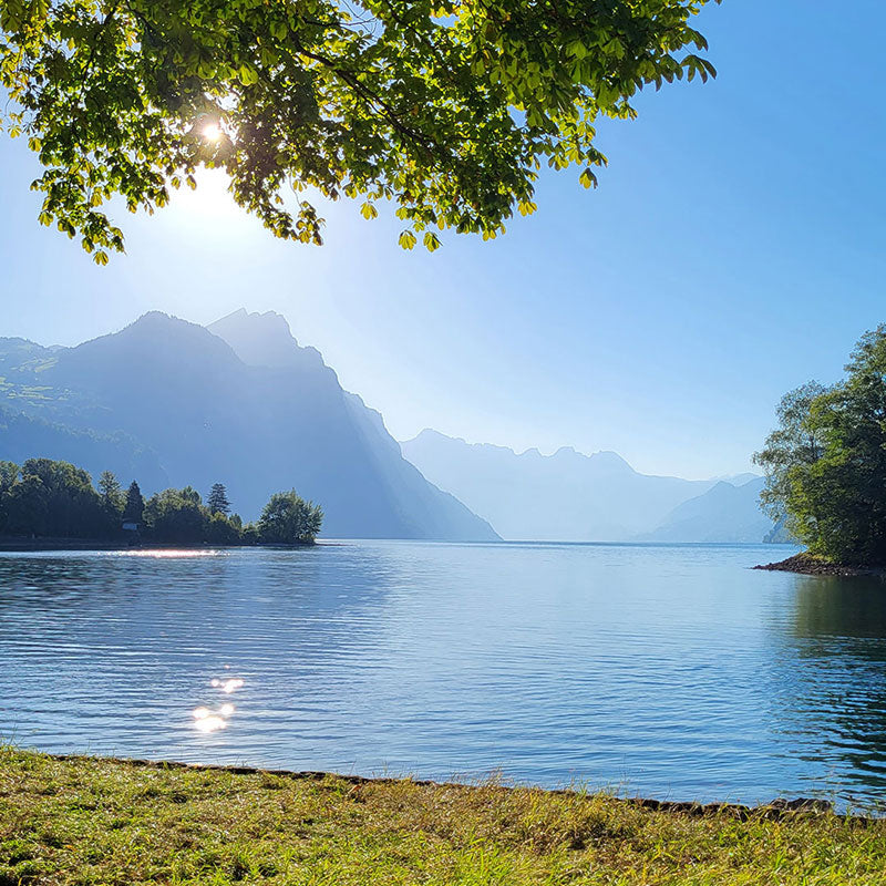Skåpbilsresa Weesen bergen i Schweiz