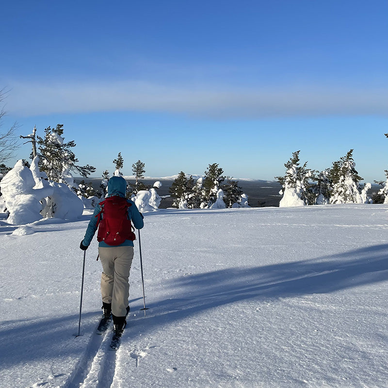 Pyhä-Luoston nationalpark i Finland