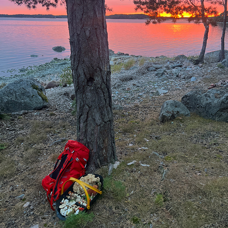 En röd ryggsäck och en korg med svampar vilar vid ett träd på en klippig sjöstrand i solnedgången.