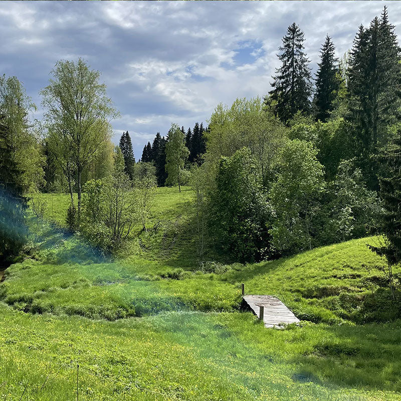 Sibbo storskog i Finland
