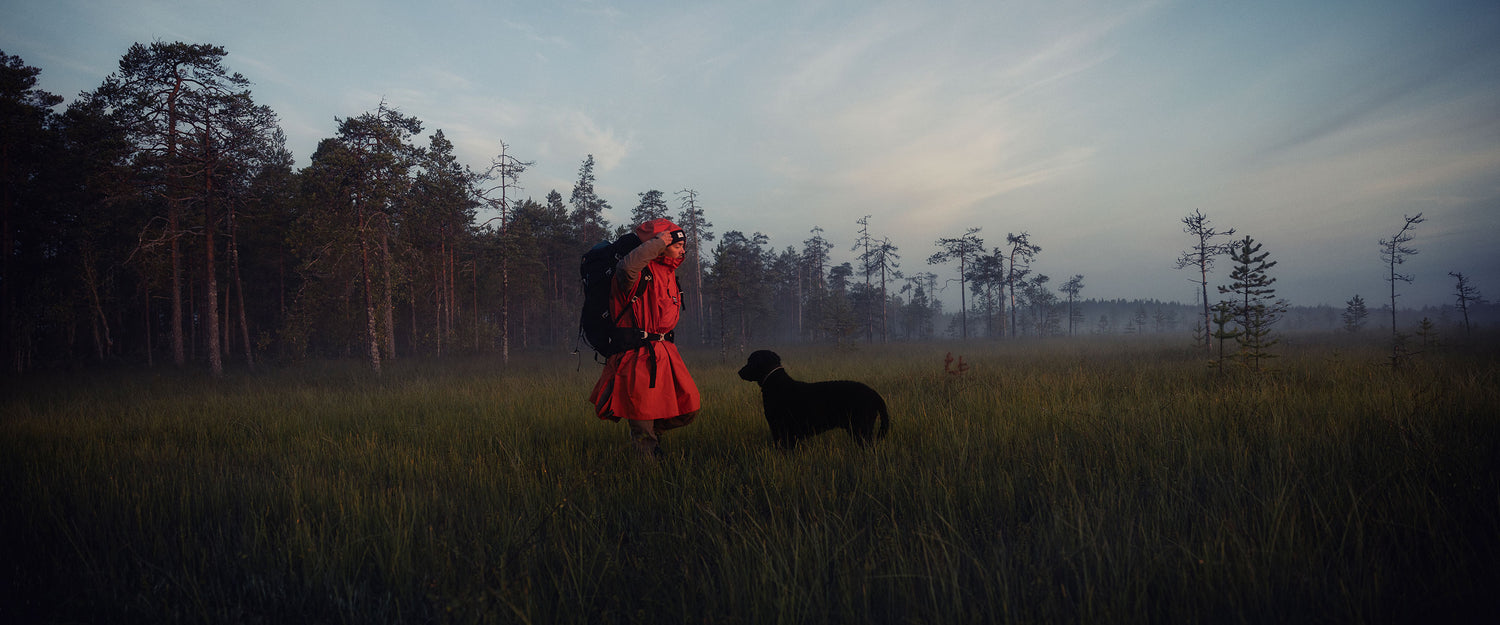 Haltiworld Blog Harris Story