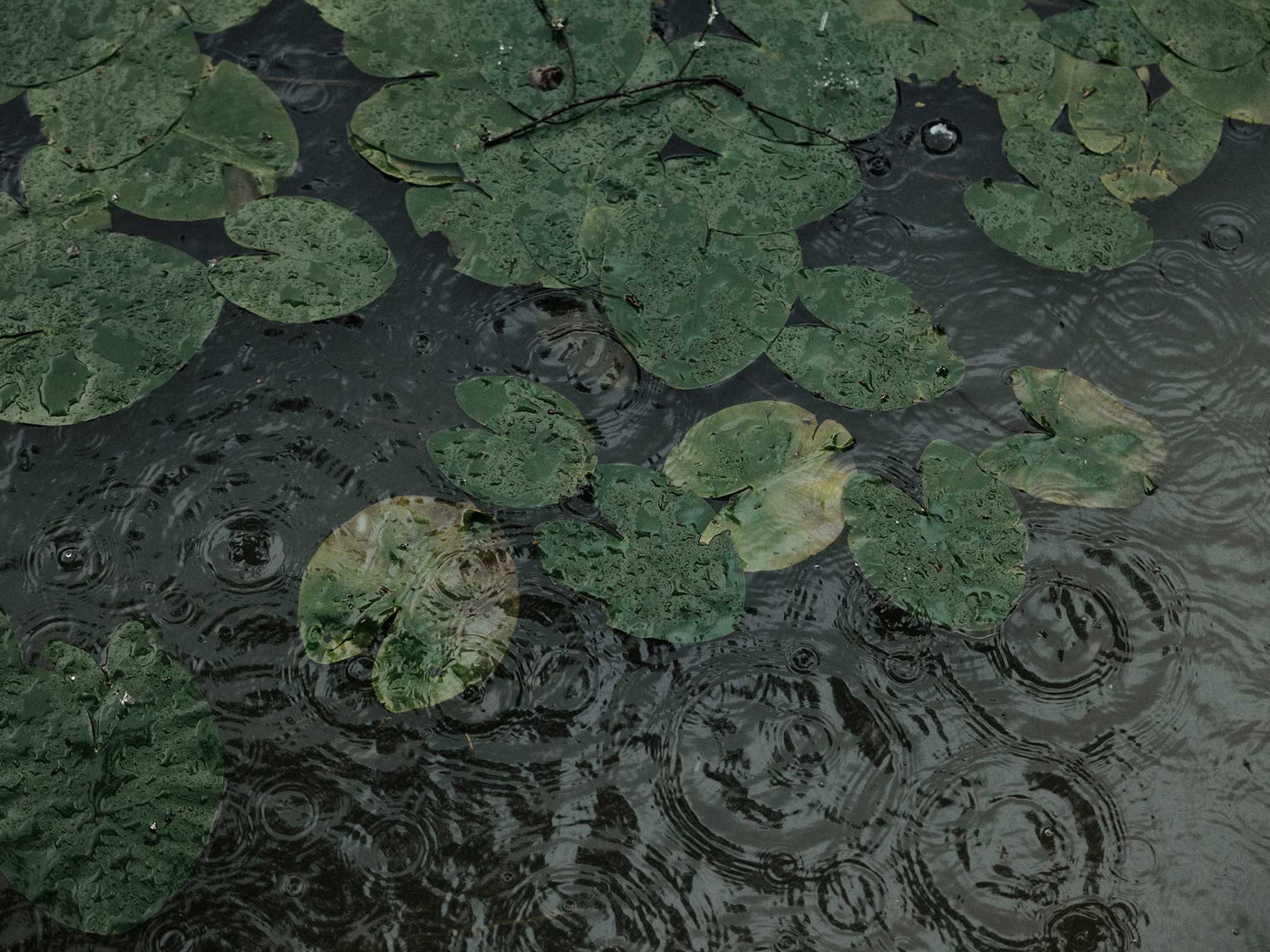 Halti Hållbarhet | Miljö