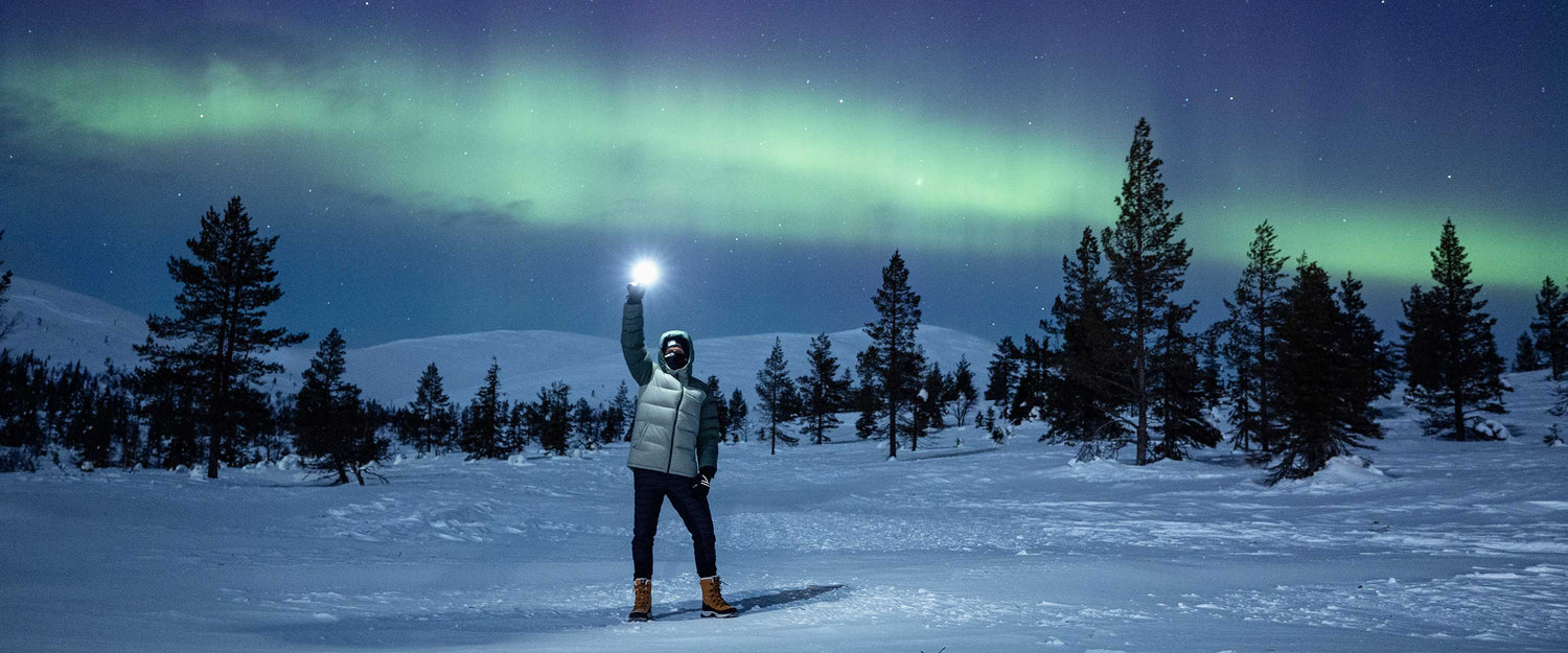 En person står på snö och håller upp en lampa, med tallar och norrsken på natthimlen ovanför.