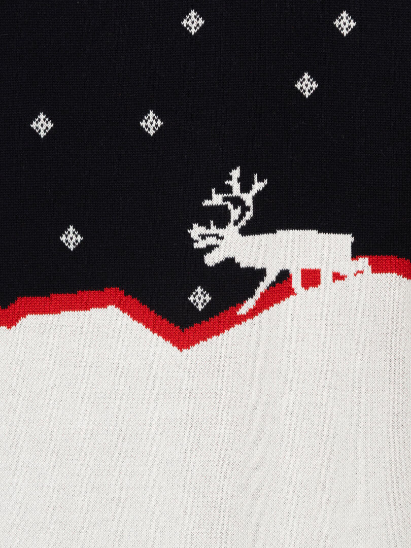 En vit ren på snön, inramad i rött – Halti Tauko Unisex-tröja under en svart stjärnhimmel.