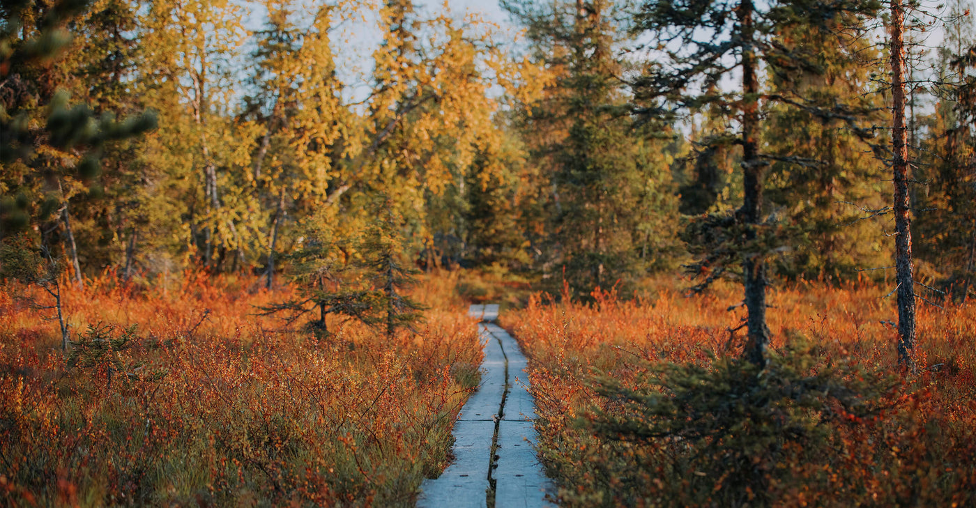 Halti och Visit Finland