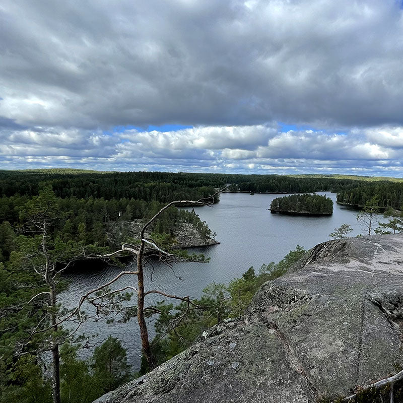 Repovesi nationalpark i Finland