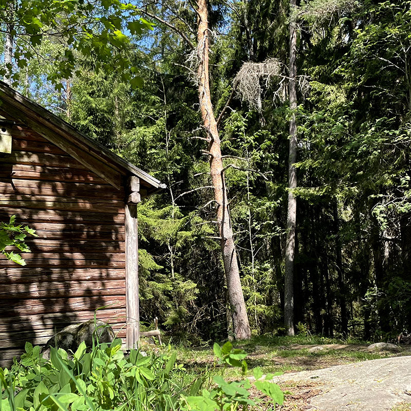 Sibbo storskog i Finland