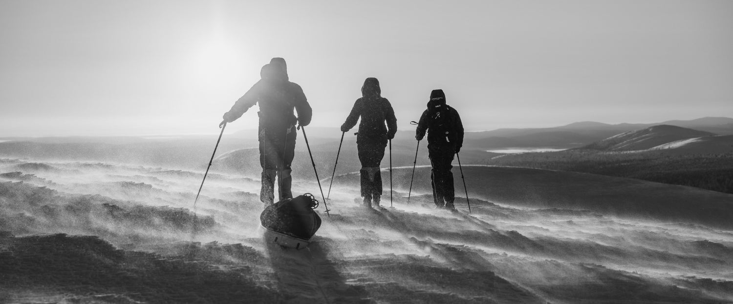 Tre skidturåkare i snöstorm med Halti-utrustning – svartvit bild