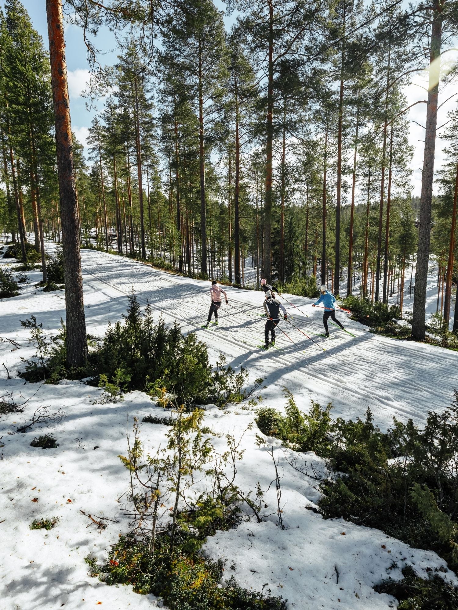 Halti längdskidåkning